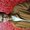 abhishek.singhal7795