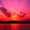 ankit181