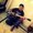 anuj0503
