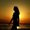 anusha0454