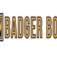 HackerEarth profile picture for @badger