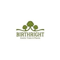 HackerEarth profile picture for @birthright