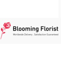 HackerEarth profile picture for @blooming