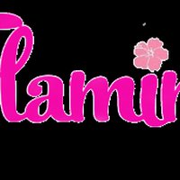 HackerEarth profile picture for @flamingo