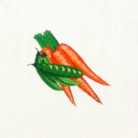 HackerEarth profile picture for @foods