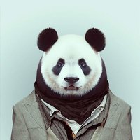 HackerEarth profile picture for @mantle