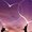 nallamalalokesh777