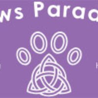 HackerEarth profile picture for @paws