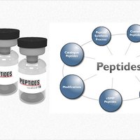 HackerEarth profile picture for @peptides