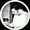 pervez.fahad
