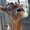 romain.hugi