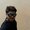 souvik122