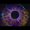 sunn-e