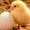 thenmozhi21