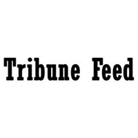 HackerEarth profile picture for @tribune